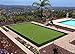 · Petgrow · Pro Putting Green Golf Artificial Grass Turf - Indoor Outdoor Golf Training Mat, Synthetic Fake Grass for Baseball Football Gym Sports