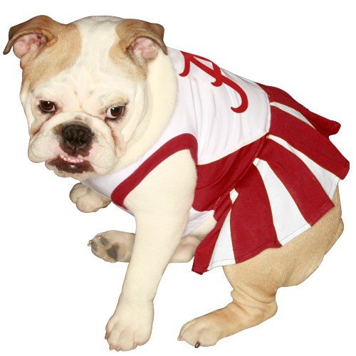 Alabama Crimson Tide Halloween Costumes In All Sizes