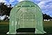 Delta 15'x7' Greenhouse (Weighing 70 lbs), Heavy Duty Hothouse Nursery,Large Walk-in Tunnel Design Greenhouses for Outdoor, Upgraded Frame and Reinforced PE Cover,Screen Vents