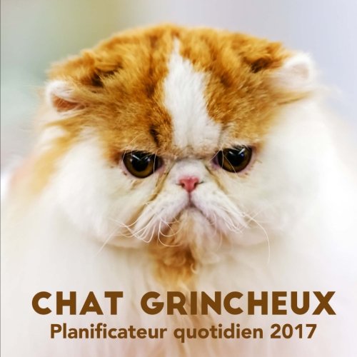 Chat Grincheux Planificateur Quotidien 17 French Edition Press Phactory Amazon Com Books