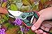 FELCO Pruning Shears (F 160S) – High Performance Swiss Made One-Hand Garden Pruner with Steel Blade w/Composite Fiber Handlethumb 3