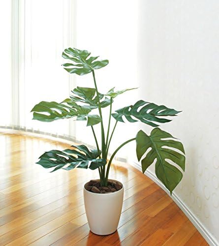 Amazon 光触媒 人工観葉植物高さ75cmアジアン インテリア モダン フェイクグリーン 人工観葉植物 オンライン通販