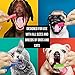 PoshWag Dog / Cat ToothBrush Set Kit [Brighten Your PET'S Teeth] Best Dog Brush Quality Bristles, 6 Finger Brushes for All Dog or CAT Sizes and Breeds [Easy to USE]