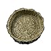 OMEM Reptile Natural Bowl Food and Water Dish Resin Made (Tree bark)
