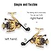 Thekuai Summer and centron Spinning Reels 13+1 BB Corrosion Resistant Bearings Smooth Powerful Fishing Reel Spinning 5.5:1 Gear Ratio Reels Left/Right Interchangeable