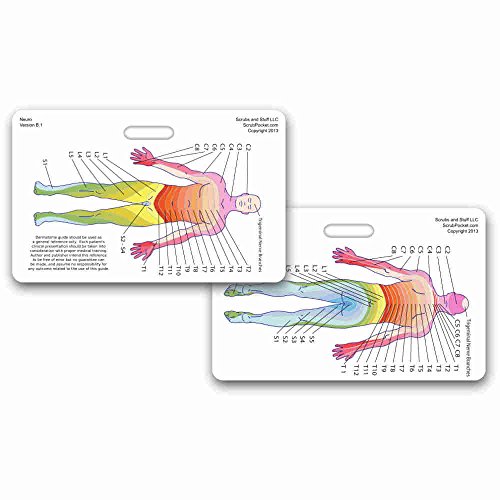 Neuro Dermatome Diagram Horizontal Badge ID Card Pocket Reference Guide Neurology (1 Card) - medicalbooks.filipinodoctors.org