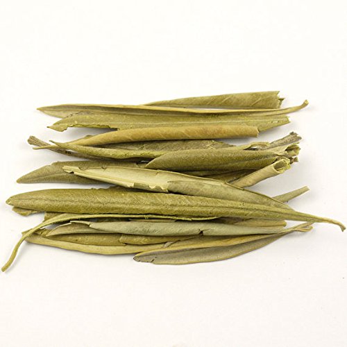 Olive Leaf - Olea europaea Loose Leaf from 100% Nature (01 oz)