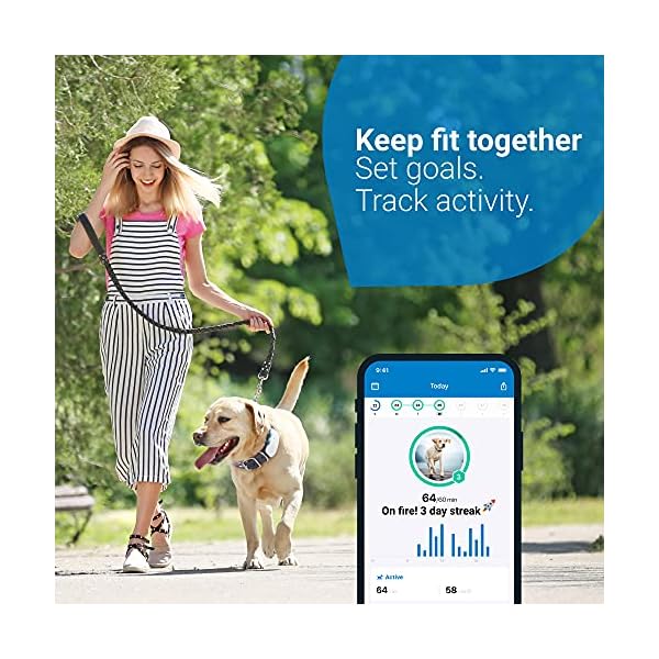 Tractive-GPS-Dog-Tracker-2021-for-Dog-Collar-Always-Know-where-your-Dog-is-247-Location-and-Activity-Monitoring Tractive GPS Dog Tracker. Live Location With Unlimited Range. Escape Alerts & 100% Waterproof (White)
