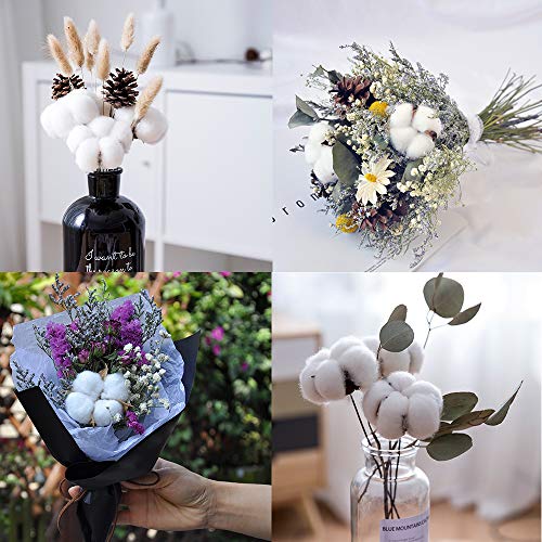 6 CEWOR+Natural+Farmhouse+Furniture+Decoration