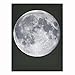 Transer Modern Artwork Wall Art Painting Canvas Painting Wall Paintings Decorative Paintings For Living Room Bedroom - 11.81 x 15.75 inch - 4PCS (Multicolor)