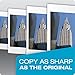 Double A 22 lb. Premium Paper, Letter Size, 5 Reams, 2500 Total Sheets (AA 22# 5RM CART)