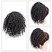Synthetic Afro Kinky Curly Ponytail Extension for African American Women Clip in Ponytail Drawstring Fluffy Coily Ponytail for Black Women 2#