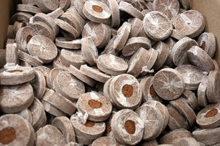 BIO BLOOMS AGRO INDIA PRIVATE LIMITED Coir Seedling Coins cocopeat disc, 42 mm Plant Starter Plugs 500 pcs