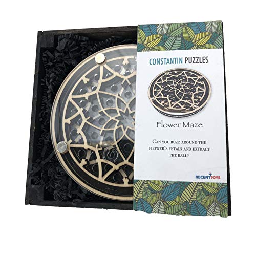 Project Genius JC002 Brain Teaser Puzzle, Wooden - //coolthings.us