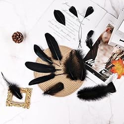 FeelfunFeather 300 pcs Black Craft Feathers- 10