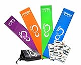Resistance Band Set By Live Infinitely- Pro Grade 4 Loop Band Or 11 Piece Set Of Stackable Exercise Bands With Door Anchor, 2 Ankle Straps & Zip Bag- Includes Total Body Online Workout Guides