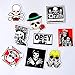 Stickers [100 Pcs], Leyaron Car Stickers Bicycle Luggage Stickers for Laptop