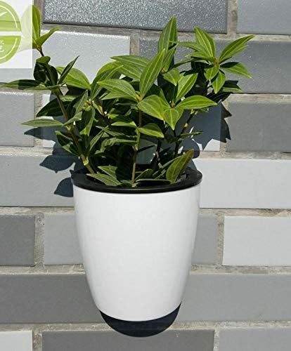 XIZHI 5 pack Lazy flower pots Water hanging plants Pot,Succulent plants and small flower pots Plants Pots Indoor out Wall Hang Flowerpot Window Boxes With 5 hooks White - Image 4