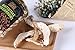 VIGOROUS MOUNTAINS Dried Tricholoma Matsutake Pine Mushrooms Fungus 2 Ounce