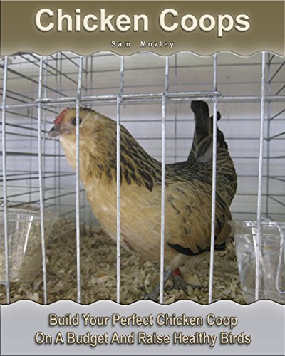 Chicken Coops: Build Your Perfect Chicken Coop On A Budget And Raise Healthy Birds: (Fresh Eggs, Raising Chickens, Backyard Chickens) (Chicken Coop Plans, DIY Project Book 1)