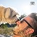 Gerrard Larriett Natural Breath Freshener Teeth and Gum Cleaner for Dogs and Cats Pet Oral Care Spray - 8 FL OZ 236ml
