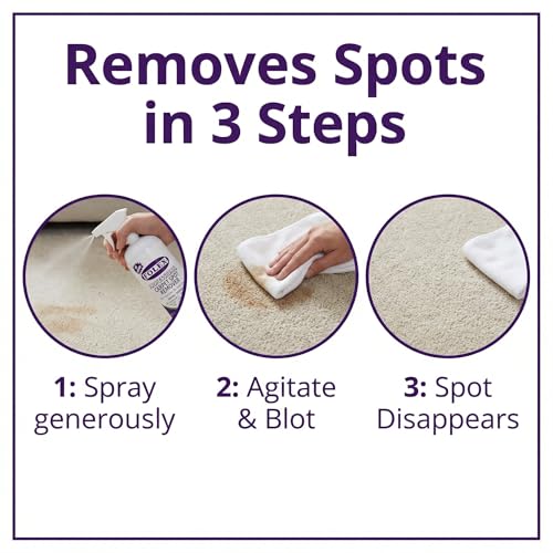 FOLEX Professional Carpet Stain Remover Spray – Stain Remover for Old Stains photo 10
