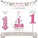 Flamingo - Party Like a Pineapple - 1st Birthday Girl Smash Cake Kit - High Chair Decorations