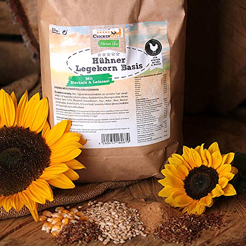 hühnergold Hühnerfutter - 2,5kg Legekorn - ohne Gentechnik - Legefutter für Legehennen – Bild 3