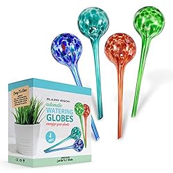 Blazin' Bison Indoor Plant Watering Globes