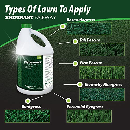 Endurant Green Grass Paint for Lawn and Fairway Treats Dry or Patchy