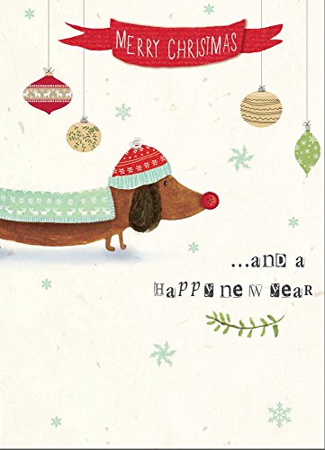 Sausage Dog - 4.5 x 6.25 Sparkle & Frost Christmas Card Box