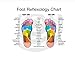 Dual Wooden Foot Massage and Acupressure Roller, Relieves Muscle Tension, Soothes Nerve Pain and Plantar Fasciitis, Foot Reflexology Chart Included