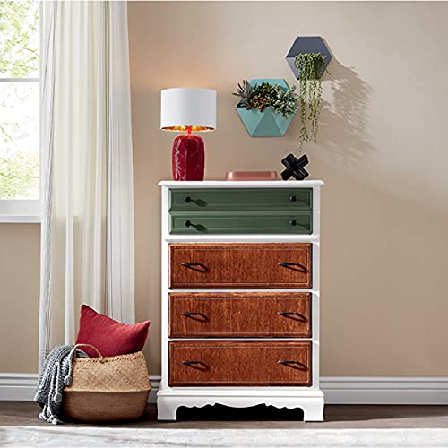 Krylon K05561007 COLORmaxx Spray Paint and Primer for Indoor/Outdoor