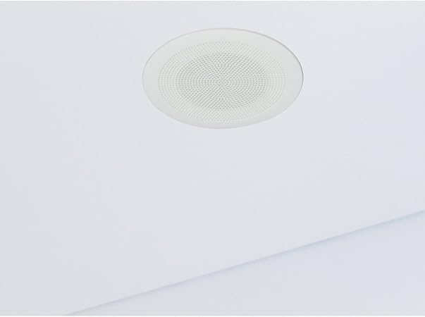 istar ceiling speakers