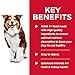 Hill's Science Diet Adult 7+, Senior Adult 7+ Premium Nutrition, Wet Dog Food, Chicken & Vegetables Stew, 12.8 oz Can, Case of 12