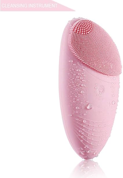electric cleansing instrument