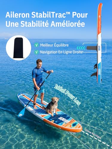 Niphean Paddle Gonflable Adulte avec Tous Les Accessoires, 320cm Planches de Stand Up Paddle Gonflables pour Tous Les Niveaux, Sup avec Capacité 200 kg pour 2 Personnes, Paddle Gonflable avec Siège