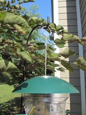 Wild Bill S 8 Station Squirrel Proof Bird Feeder Buy Online In