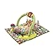Evenflo ExerSaucer Double Fun Saucer, Bumbly