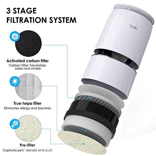 GBlife Air Purifiers for Home Bedroom and Office, True HEPA Filter Small Room Air Cleaner for