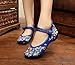 AvaCostume Women's Chinese Embroidery Casual Mary Jane Travel Walking Shoes Blue 39