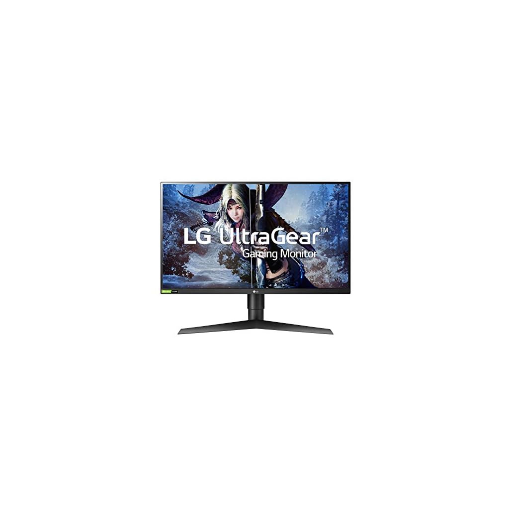 LG 27GL850-B QHD Nano IPS Gaming Monitor Review