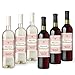 Printed Party Bridesmaid Proposal Wine Bottle Label Gift, Will You Be, Set of 6