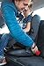 Car Seatbelt Buckle Guard - Child Safety Seat Belt Lock - Wididi Buckle Cover - Heavy Duty Durable Plastic - Pack of One - Car Accessories - Universal Fit