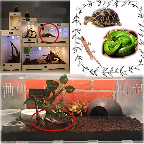 4 Hamiledyi+Driftwood+Branches+Reptiles+Decoration