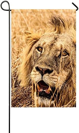 RH Studio Garden Flag Lion Predator Fangs 12x18 Inches(without Flagpole)
