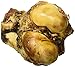 Brutus & Barnaby Knuckle Bone Best All Natural Lasting Dog Bone Beef Knuckle is a Smoked, Meaty Bone with Natural Marrow Inside for Your Dog, Two Sizes for Your Large or Small Dog