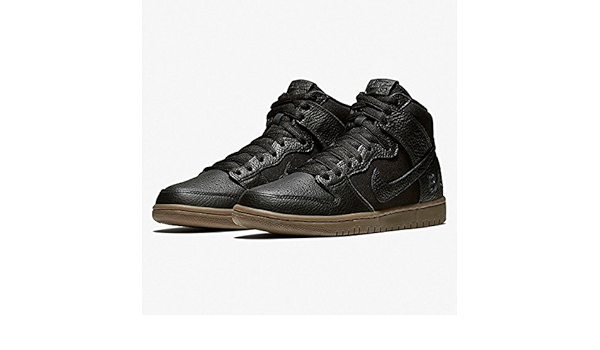 nike zoom dunk high pro