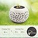 Petrala Solar Table Lights Outdoor Waterproof 7 Lumen White Metal Decorative Lighting Lantern for Desk Patio Gifts Home Decor