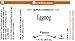 LorAnn Eggnog SS Flavor, 4 ounce bottle